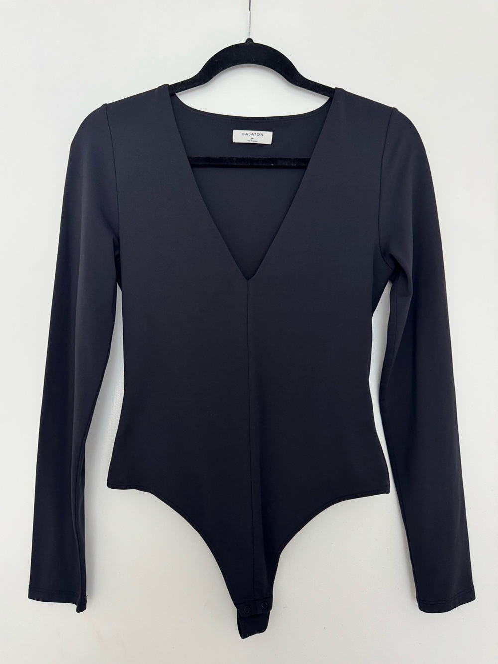 Babaton Aritzia Contour V Neck Longsleeve Bodysuit